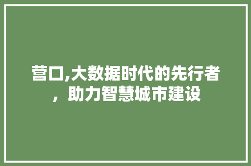 营口,大数据时代的先行者，助力智慧城市建设