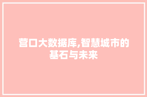 营口大数据库,智慧城市的基石与未来