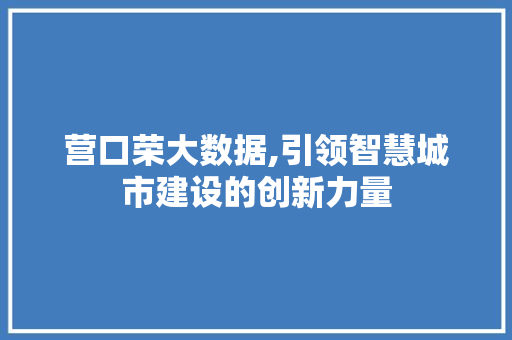 营口荣大数据,引领智慧城市建设的创新力量