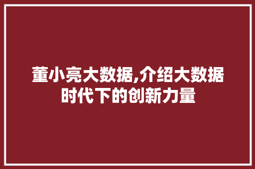 董小亮大数据,介绍大数据时代下的创新力量
