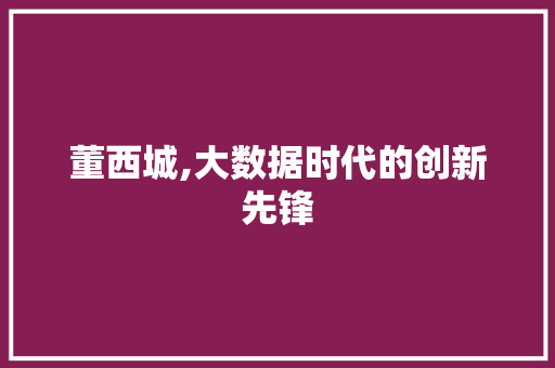 董西城,大数据时代的创新先锋