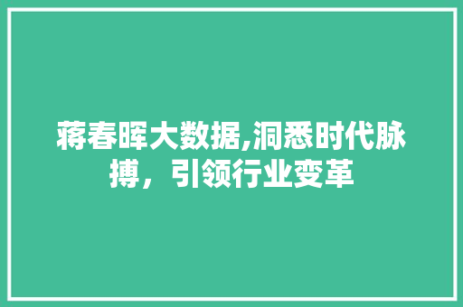 蒋春晖大数据,洞悉时代脉搏，引领行业变革