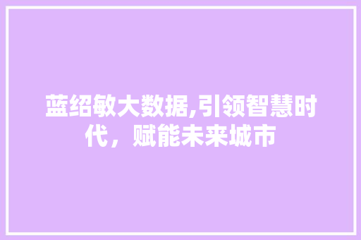 蓝绍敏大数据,引领智慧时代，赋能未来城市