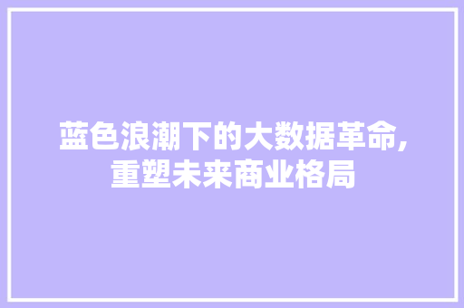 蓝色浪潮下的大数据革命,重塑未来商业格局