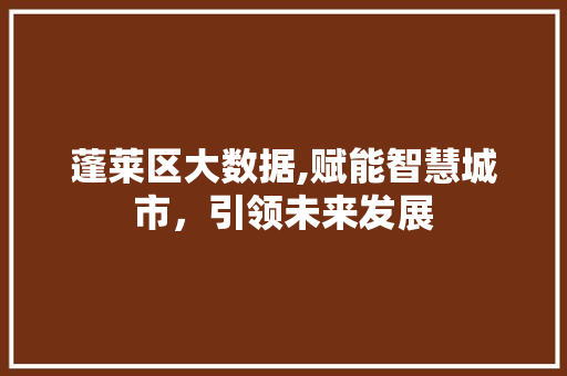 蓬莱区大数据,赋能智慧城市，引领未来发展
