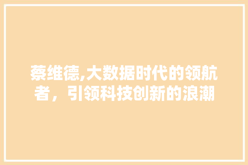 蔡维德,大数据时代的领航者，引领科技创新的浪潮 必应SEO
