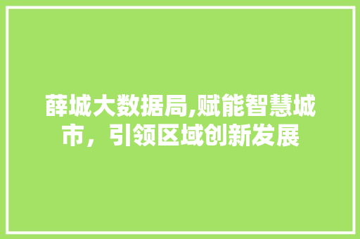 薛城大数据局,赋能智慧城市，引领区域创新发展