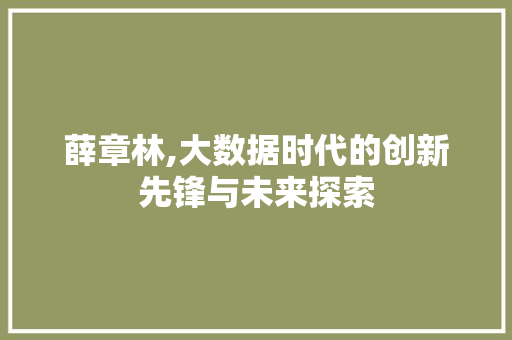 薛章林,大数据时代的创新先锋与未来探索