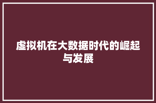 虚拟机在大数据时代的崛起与发展