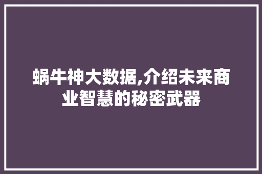 蜗牛神大数据,介绍未来商业智慧的秘密武器