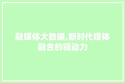 融媒体大数据,新时代媒体融合的驱动力