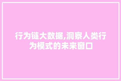 行为链大数据,洞察人类行为模式的未来窗口