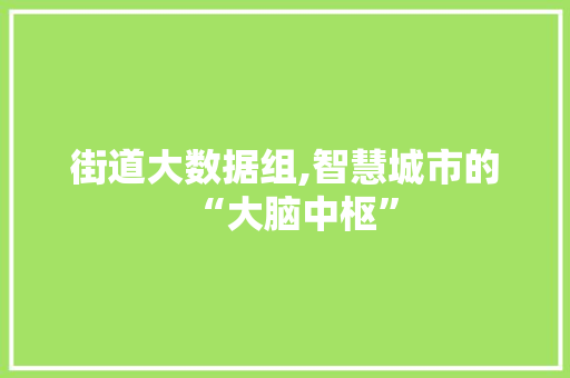 街道大数据组,智慧城市的“大脑中枢”