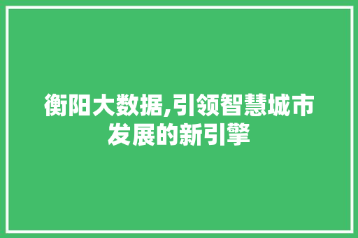 衡阳大数据,引领智慧城市发展的新引擎