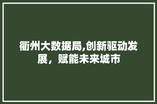 衢州大数据局,创新驱动发展，赋能未来城市