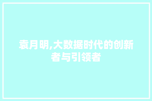 袁月明,大数据时代的创新者与引领者