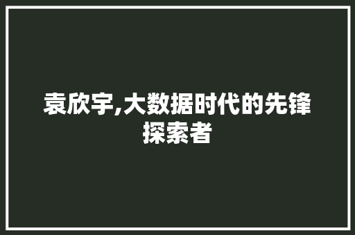 袁欣宇,大数据时代的先锋探索者