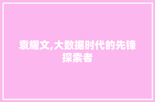 袁耀文,大数据时代的先锋探索者