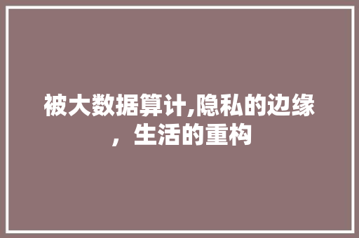 被大数据算计,隐私的边缘，生活的重构 必应SEO
