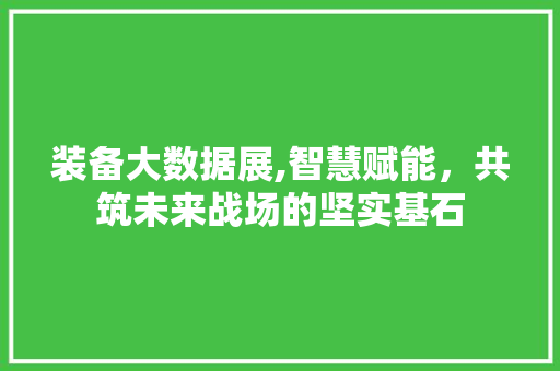装备大数据展,智慧赋能，共筑未来战场的坚实基石 必应SEO