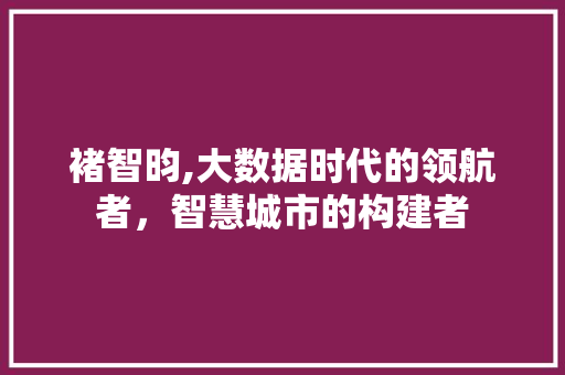 褚智昀,大数据时代的领航者，智慧城市的构建者