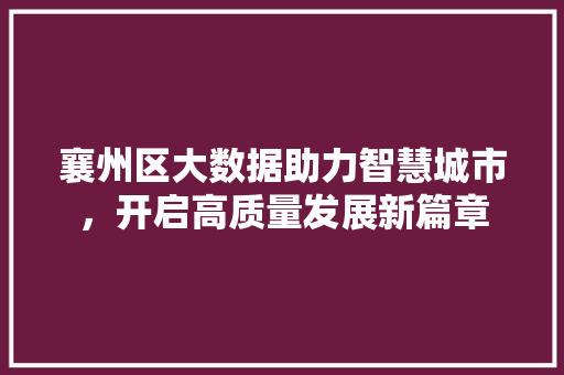 襄州区大数据助力智慧城市，开启高质量发展新篇章