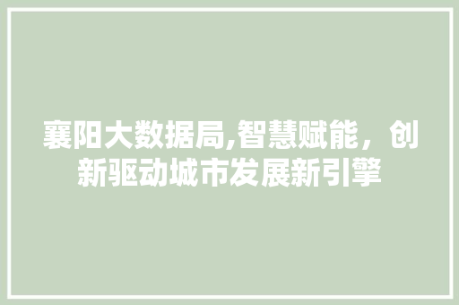 襄阳大数据局,智慧赋能，创新驱动城市发展新引擎
