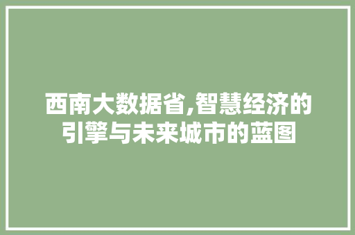 西南大数据省,智慧经济的引擎与未来城市的蓝图