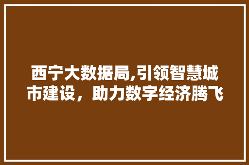 西宁大数据局,引领智慧城市建设，助力数字经济腾飞