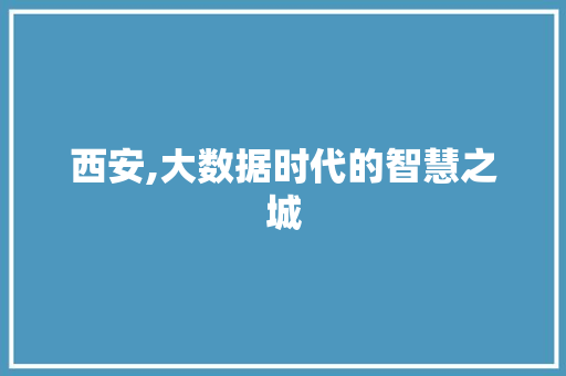 西安,大数据时代的智慧之城