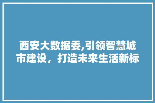 西安大数据委,引领智慧城市建设，打造未来生活新标杆 神马SEO