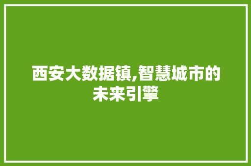 西安大数据镇,智慧城市的未来引擎 神马SEO