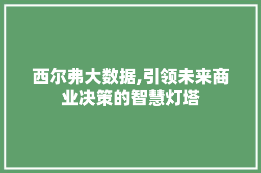 西尔弗大数据,引领未来商业决策的智慧灯塔
