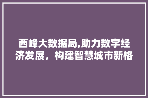 西峰大数据局,助力数字经济发展，构建智慧城市新格局