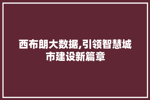 西布朗大数据,引领智慧城市建设新篇章