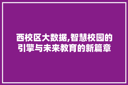 西校区大数据,智慧校园的引擎与未来教育的新篇章 神马SEO
