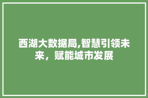 西湖大数据局,智慧引领未来，赋能城市发展