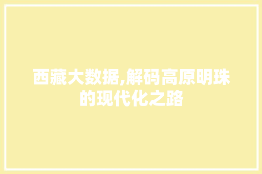 西藏大数据,解码高原明珠的现代化之路