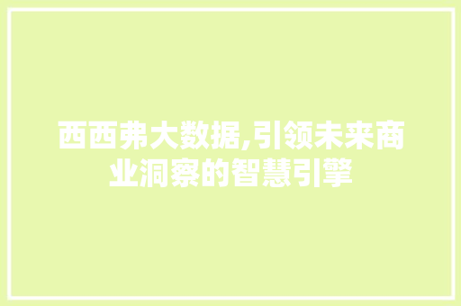 西西弗大数据,引领未来商业洞察的智慧引擎 必应SEO