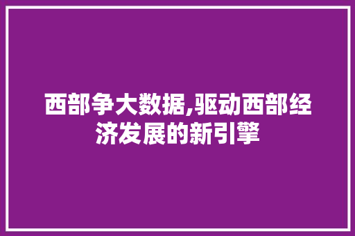 西部争大数据,驱动西部经济发展的新引擎