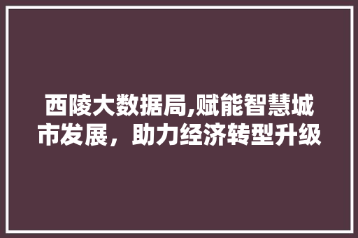西陵大数据局,赋能智慧城市发展，助力经济转型升级