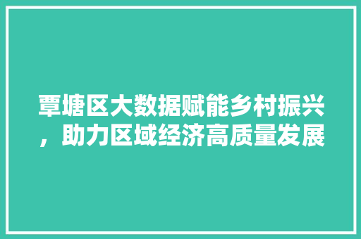 覃塘区大数据赋能乡村振兴，助力区域经济高质量发展