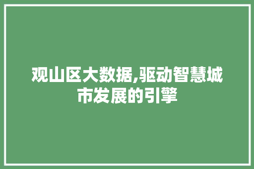 观山区大数据,驱动智慧城市发展的引擎