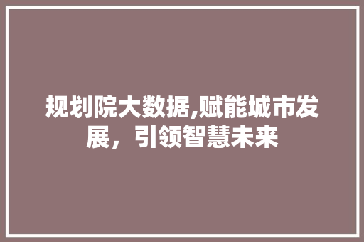 规划院大数据,赋能城市发展，引领智慧未来