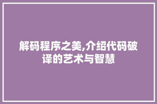 解码程序之美,介绍代码破译的艺术与智慧