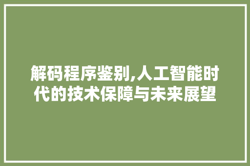 解码程序鉴别,人工智能时代的技术保障与未来展望
