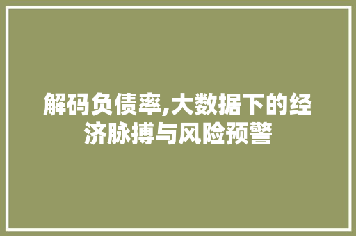 解码负债率,大数据下的经济脉搏与风险预警