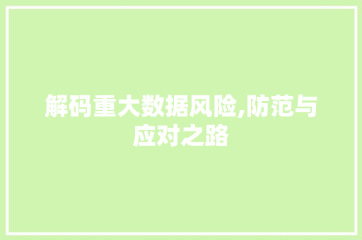 解码重大数据风险,防范与应对之路