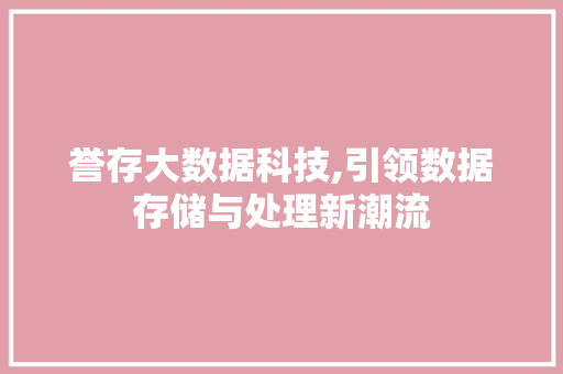 誉存大数据科技,引领数据存储与处理新潮流