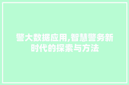 警大数据应用,智慧警务新时代的探索与方法